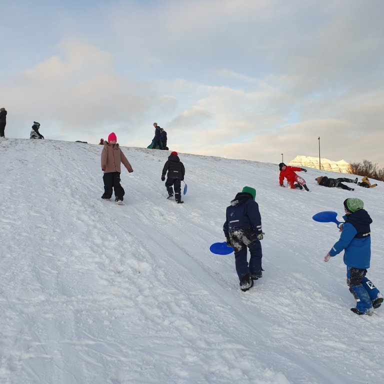 thumbnail_20230201_111811