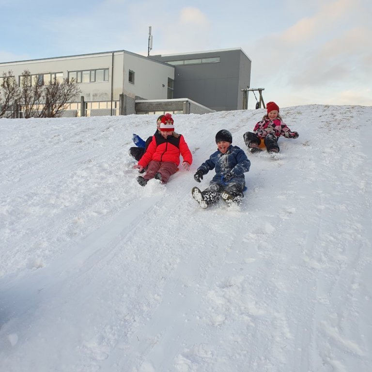 thumbnail_20230201_111915