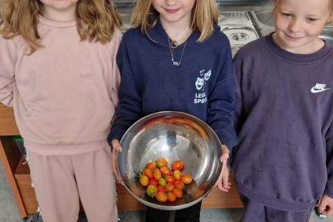 Gróðurhús - salatbar