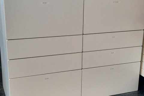 Óskilamunir í grunnskólanum