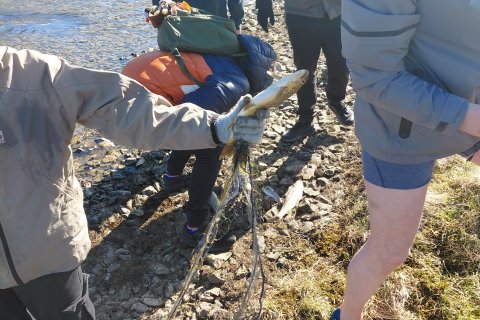 Vorferðalag 6. bekkjar
