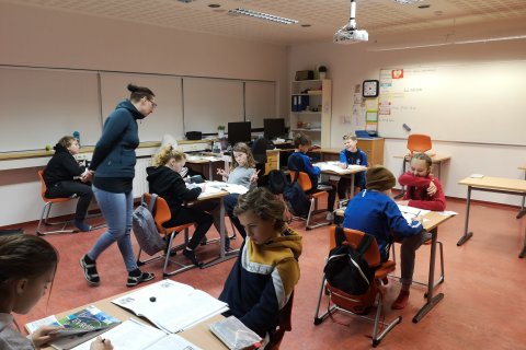 Grímulaust miðstig