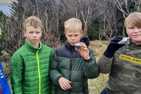 Skógarferð - miðstig